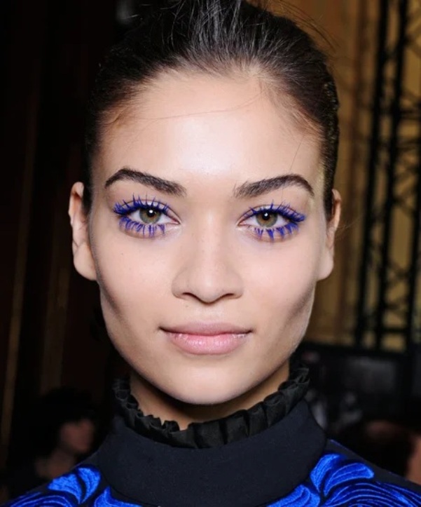 Purple Mascara Makeup for Daytime Looks